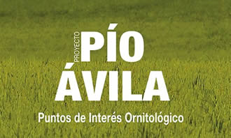 navalmoral de la sierra